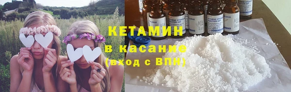 индика Пестово