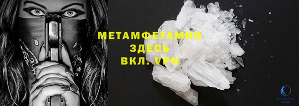 индика Пестово