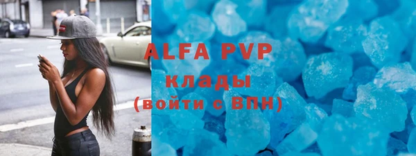 a pvp Пересвет