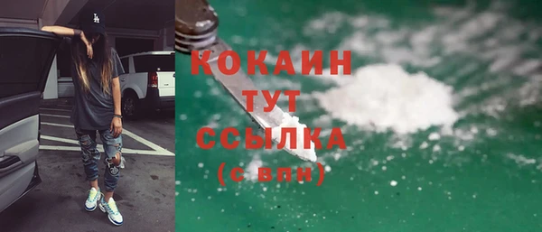 индика Пестово