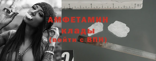 a pvp Пересвет