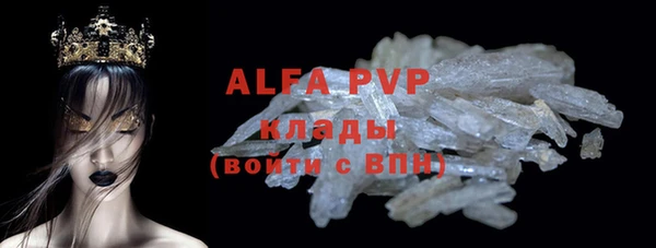 индика Пестово