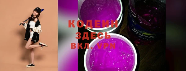 индика Пестово