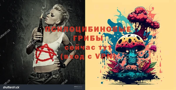 a pvp Пересвет