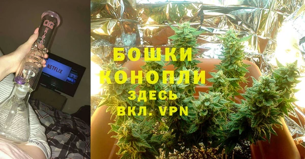 a pvp Пересвет