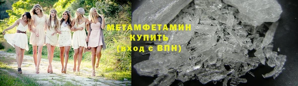 индика Пестово