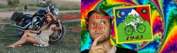 a pvp Пересвет