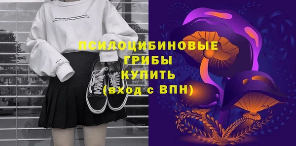 индика Пестово