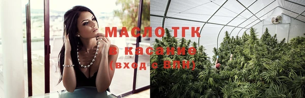 индика Пестово