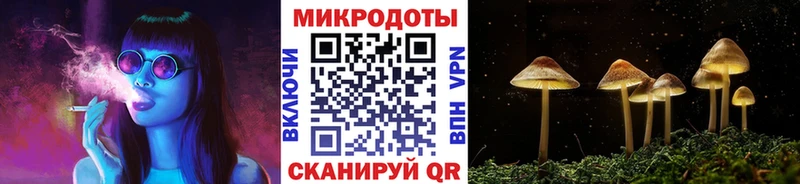 что такое наркотик  Северобайкальск  Галлюциногенные грибы Psilocybe 