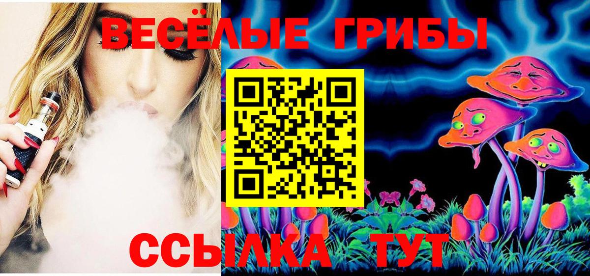 Псилоцибиновые грибы Psilocybe  Псилоцибиновые грибы ЛСД  Вход с VPN  Северобайкальск 