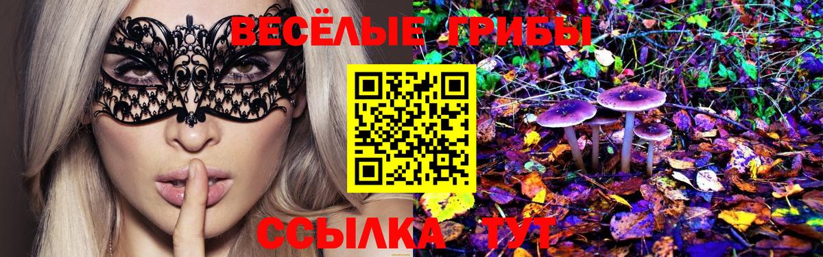 Псилоцибиновые грибы Magic Shrooms Северобайкальск